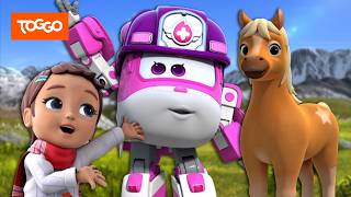 Super Wings | Auf den Spuren der Wildpferde & Baumhaus in Gefahr | Ganze Folgen | TOGGO