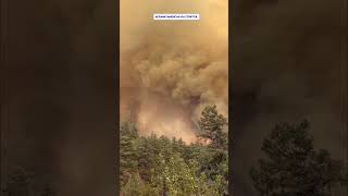 "¡Adiós para siempre!": su última foto antes de huir del devastador incendio de Aspen Acres