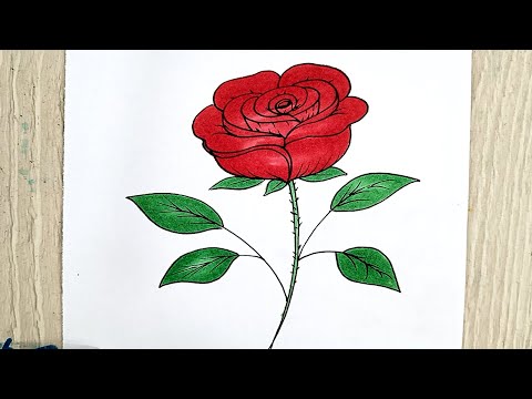 رسم سهل | رسم ورده بطريقه جميله/ رسم وردة سهلة للمبتدئين | رسم ورده حمراء| رسم 🎨 |easy drawing