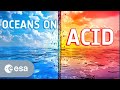 Ocean Impact on Climate and Acidity