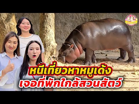 หนีเที่ยวหาหมูเด้ง Moo Deng เจอที่พักใกล้สวนสัตว์เขาเขียว I ตองติงโชว์