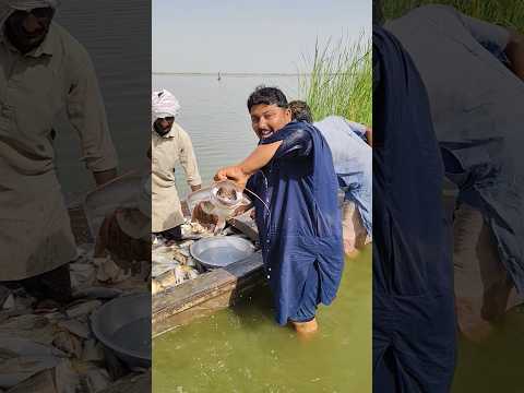 #fishing #fishlovers #villagelife #fishfarming