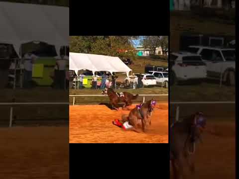 #foryou #caballos #parati #horse #viral #shorts #viralvideo #video #videoviral #shortvideo #trending