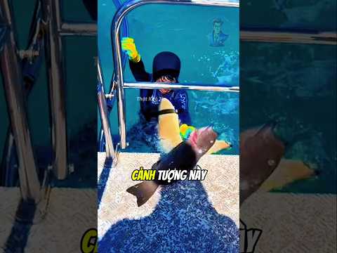 Đại dương luôn ẩn chứa điều bất ngờ