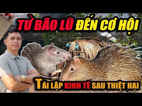 TỪ BÃO LŨ ĐẾN CƠ HỘI - CÙNG TÁI LẬP KINH TẾ SAU THIỆT HẠI | CHANNUOI.NET