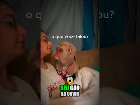 Ela aprendeu a Falar a Língua dos Cachorros, e a Reação do Seu Cão Foi incrivel!😳#shorts