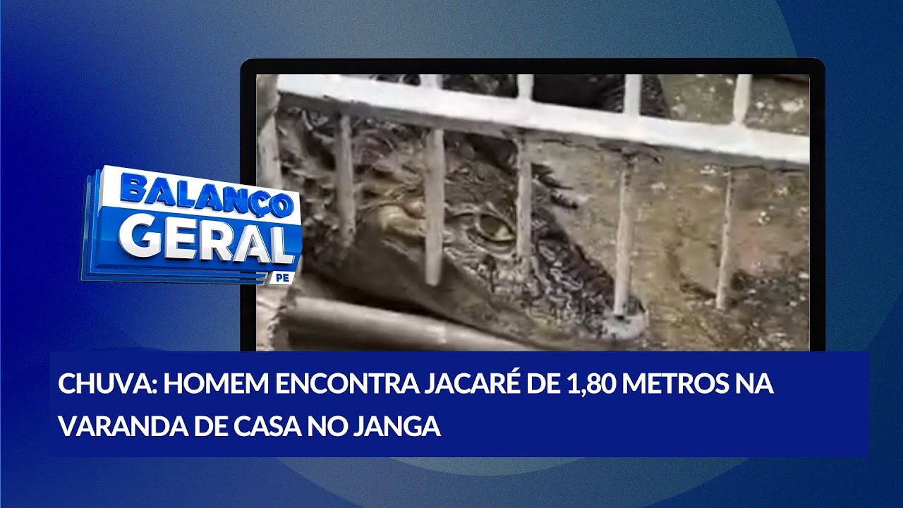 Ap&oacute;s fortes chuvas, jacar&eacute; &eacute; encontrado na varanda de uma casa no Janga