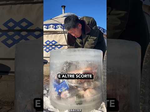 Il frigorifero di ghiaccio 🧊🇲🇳🤔