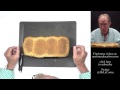 Surface Area to Volume Ratio in Cells