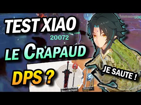 Test XIAO gros DPS Grenouille, Impressions + Nouvelle ...