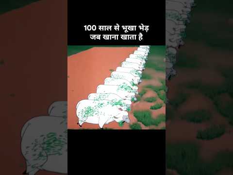 100 साल से भूखा भेड़ जब खाना खाता है 😂। Funny cartoon| funny explanation| #memes