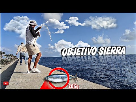 MISIÓN SIERRA 🔥 Ep 1! (Sorpresa de 20Kg🤯) | YoSoyHader 🎣