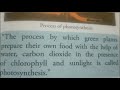 Ecosystem Roles and Consumer Types