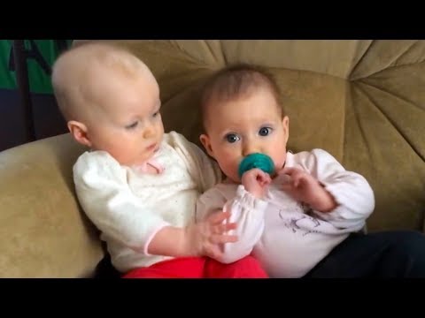 CUTEST SIBLINGS Rivalry and Playing Compilation - TRY NOT TO AWW Challenge!