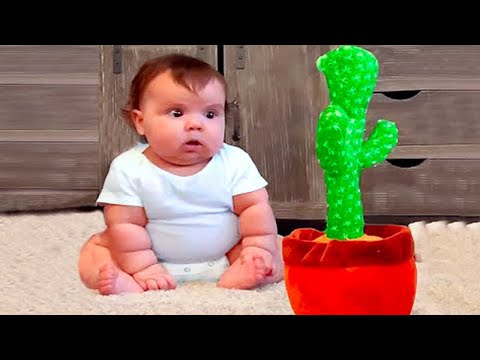 Babies Reacting Hilarious to the new toys - Try Not To Laugh Baby Shorts