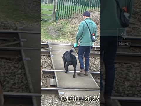 Kids allowed to play on dangerous level crossing
