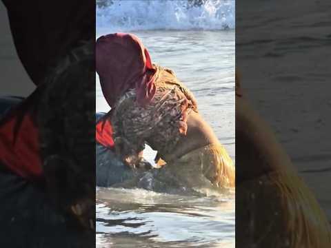 Cox’s swimming #swimming #seaswimming #coxsbazarbeach #shorts