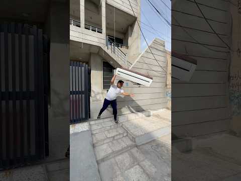 شلع گلبي السبلات￼