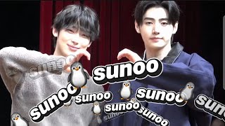 🐧🦊Sunsun Moments | Sunoo & Sunghoon's Cutest Interactions! (Part2)