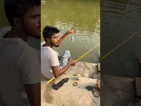 কি বড়ো পুঁটি মাছ ! #hook_fishing #villagehookfishing