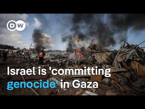 New resolution says Israel's actions meet genocide definition | DW News