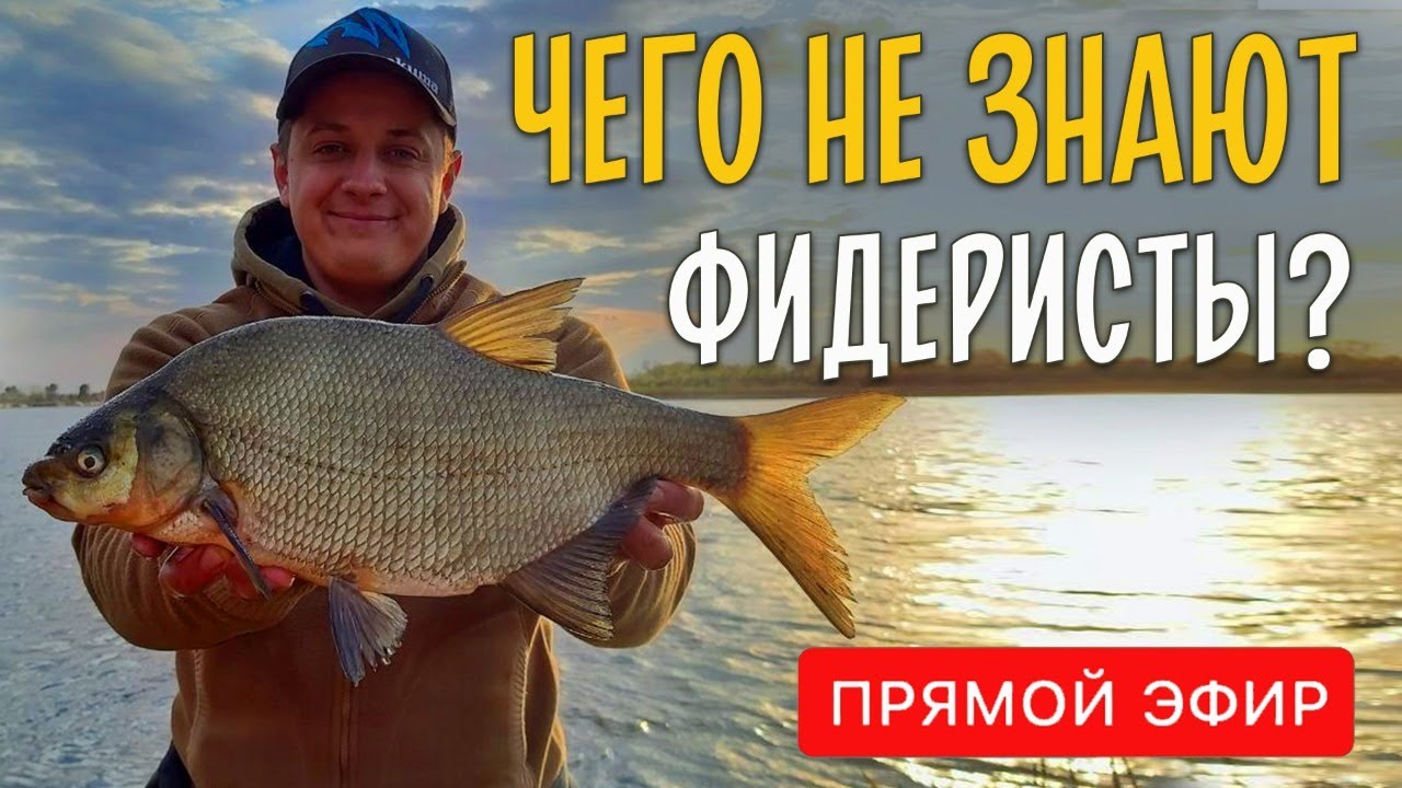 Чего не знают фидеристы? Ответы на часто задаваемые вопросы по фидерной рыбалке