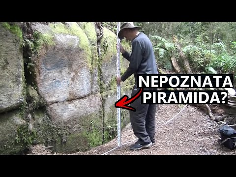 Nepoznata Struktura Otkrivena u Sred Šume N. Zelanda