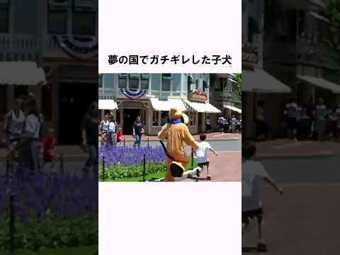 「子どもにガチギレ!」プルートに関する面白い雑学 #shorts #雑学 #豆知識