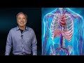 Cardiovascular and Exercise Physiology Concepts