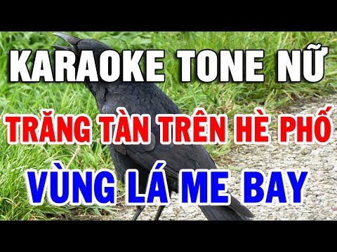 Karaoke Nhạc Sống TONE NỮ Dễ Hát Nhất 2020 | Liên Khúc Nhạc Trữ Tình Bolero Mới Nhất | Trọng Hiếu