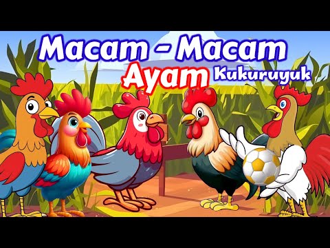 Lagu Anak 🇮🇩 Macam-macam ayam - Lagu Ayam Jago - Ayam Berkokok - Lagu Anak Indonesia