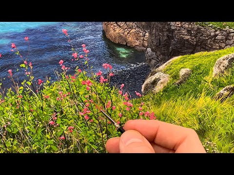 How to paint a landscape foreground | Episode 208