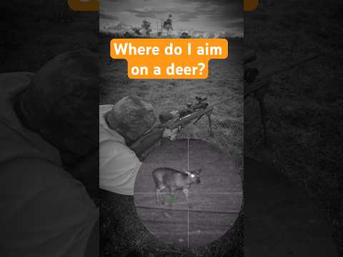 Sambar Deer: HIGH Shoulder Shot (HOW TO INSTANTLY DROP DEER)