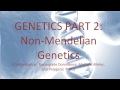 Non-Mendelian Genetics Concepts