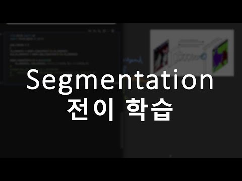 딥러닝 segmentation 파인튜닝