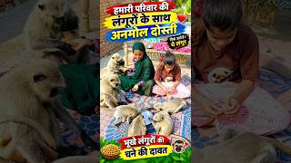 Bandar | Bandar Wala | Bandar Mama Pahan Pajama | Monkey Video | Langur