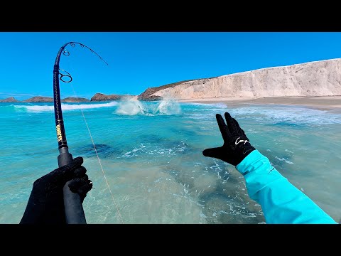 Shoreline Giants: Sight Casting, Catch & Cook Adventure Gone Wild