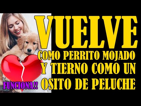 VUELVE VUELVE! COMO PERRITO MOJADO Y TIERNO COMO UN OSITO DE PELUCHE!🙏🕯😱👈