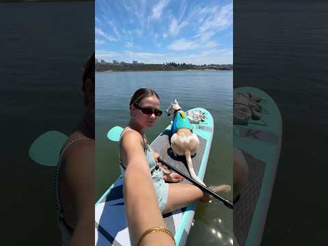 Paddle boarding adventure with Yuki🌊🏄🏼‍♀️🐶#dog #paddleboarding #pets #dogshorts #dogowner #puppy