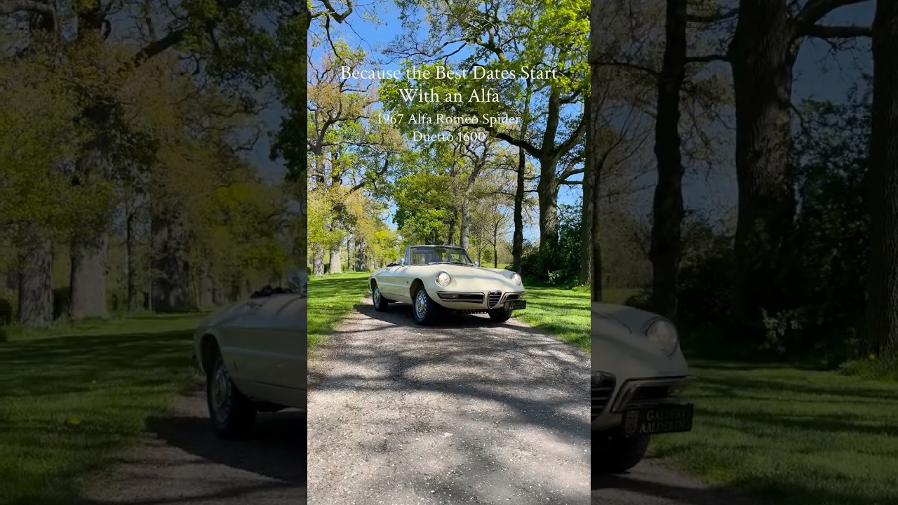 Video-Vorschau von: Alfa Romeo 1600 Duetto (1967)