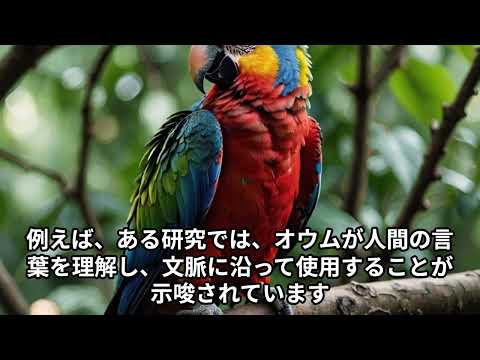 【癒しと笑い】動物たちの不思議でユニークな行動