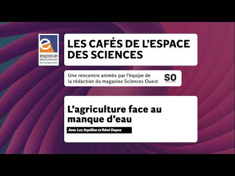 💧 L’agriculture face au manque d’eau