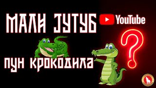 Mali JUTUB - pun krokodila? 09.12.2022.