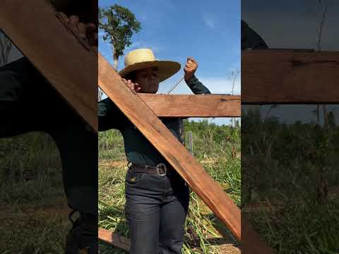 20 de outubro de 2025