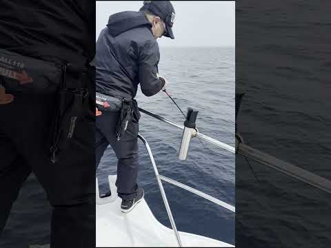 BLACK MAMBA釣果情報2025_6_21