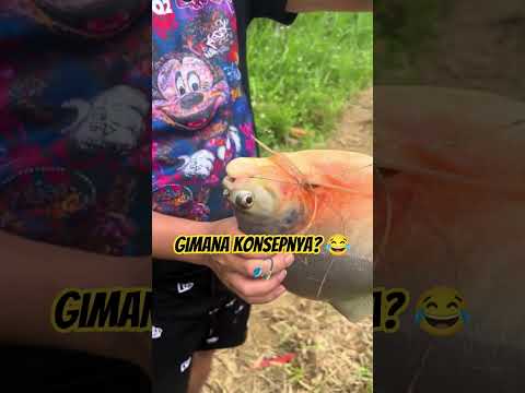 Pov. Bikin ribet sendiri😂🎣 #pov#mancing #fishing #education #bawal #ikan #fish #funny #ytshorts #fyp