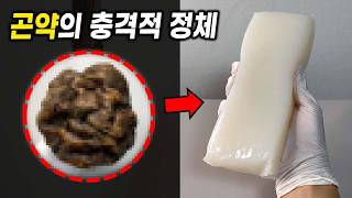 (충격주의) 곤약 먹으면 배부른 이유 ㄷㄷ 곤약은 독초로 만들어집니다..
