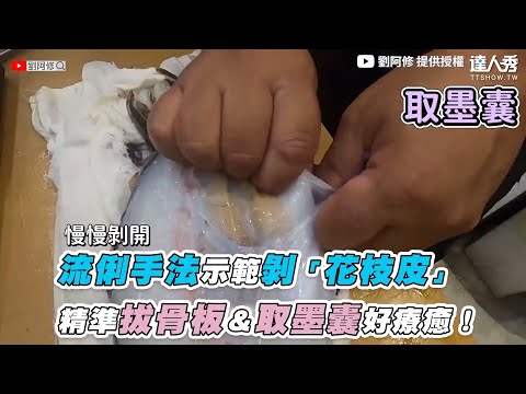 【流俐手法示範剝「花枝皮」 精準拔骨板＆取墨囊好療癒！】｜@劉阿修