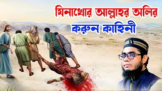 যিনাখোর আল্লাহর অলির করুন কাহিনী shahidur rahman mahmudabadi new waz 2025 মাহমুদাবাদী ওয়াজ ২০২৫
