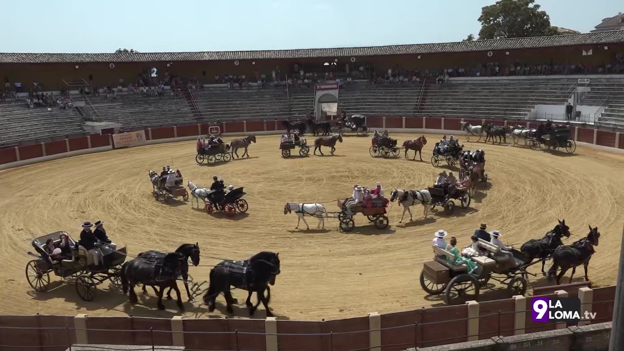 Feria de Baeza 2025 · Exhibición de enganches de caballos